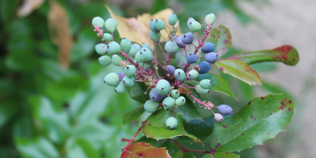 Reinhardswald-Grundschule Reinhardswald-Grundschule