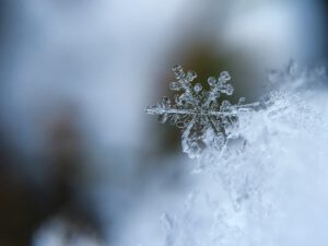 Winterbild mit Schneekristall